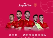 爱游戏入口-战神降临！欧洲国家队力压群雄
