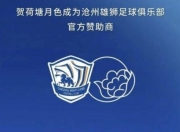 爱游戏下载安装-雄狮夺魁，晋级国际足球争霸赛